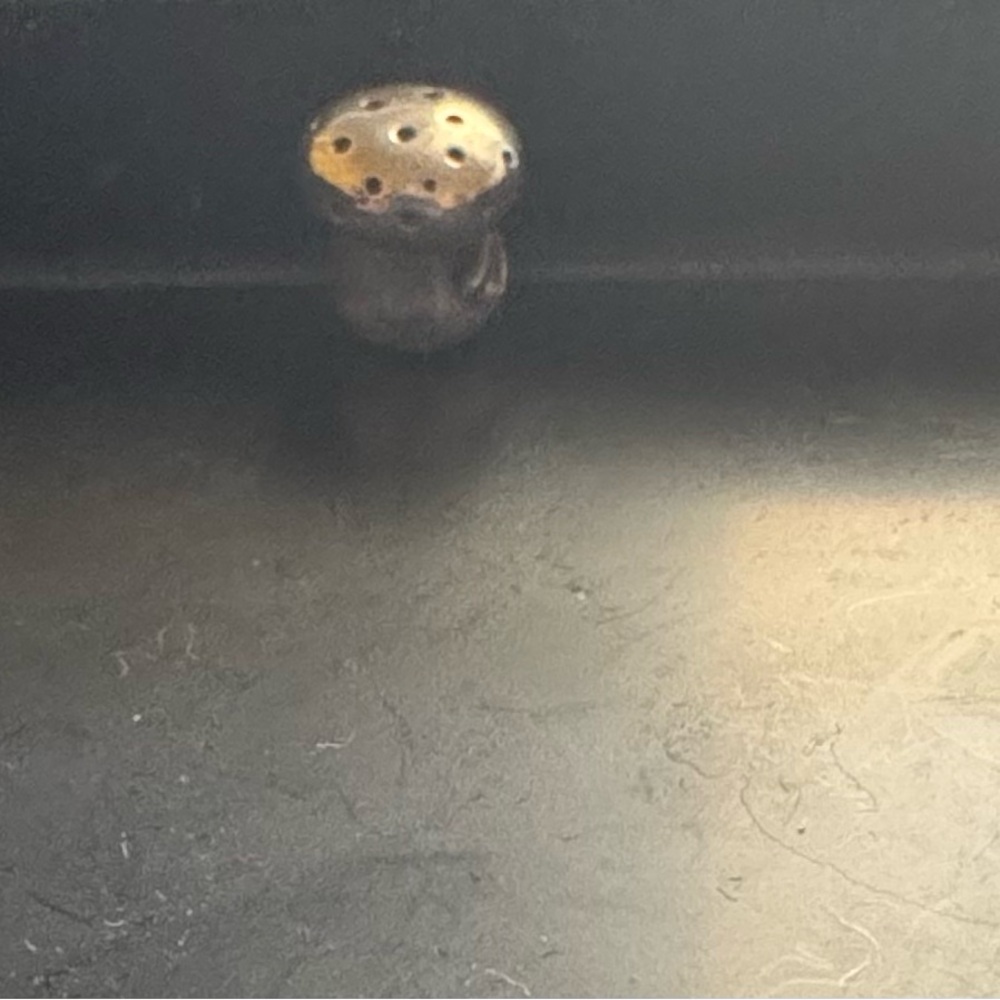 Pandora mushroom charm